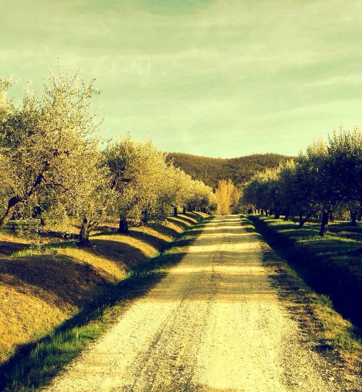Willa Podere Le Corone Monte Castello di Vibio Zewnętrze zdjęcie