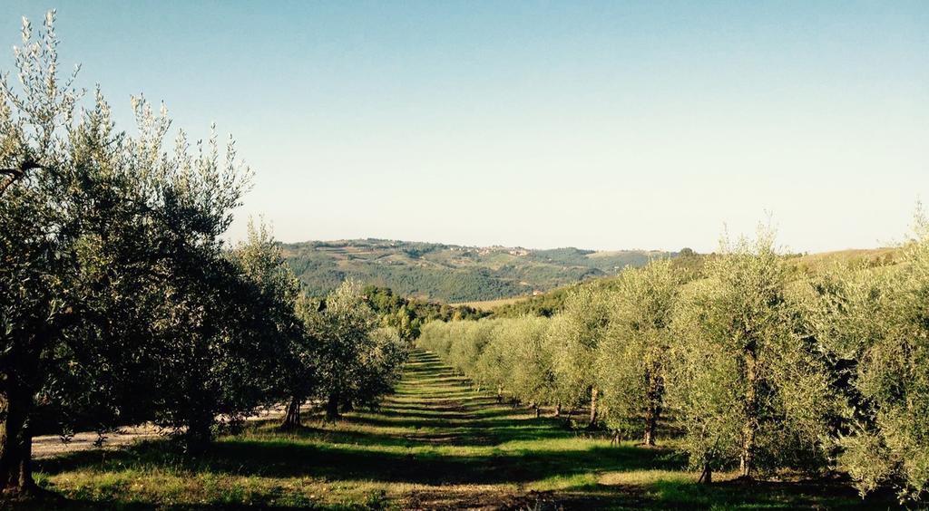 Willa Podere Le Corone Monte Castello di Vibio Zewnętrze zdjęcie