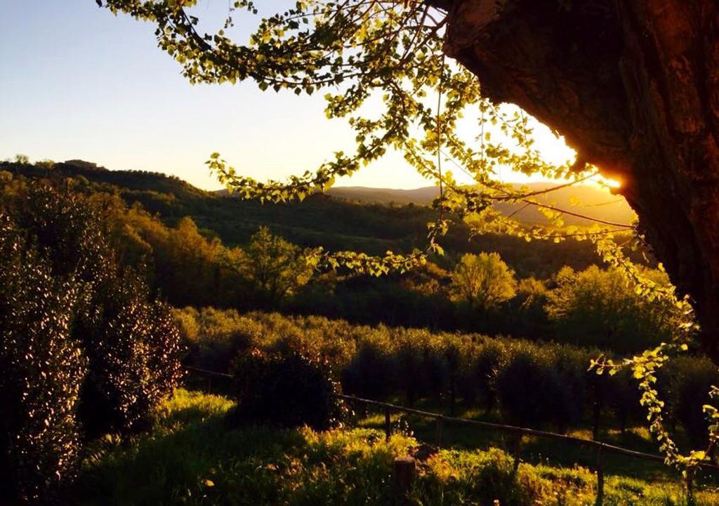 Willa Podere Le Corone Monte Castello di Vibio Zewnętrze zdjęcie
