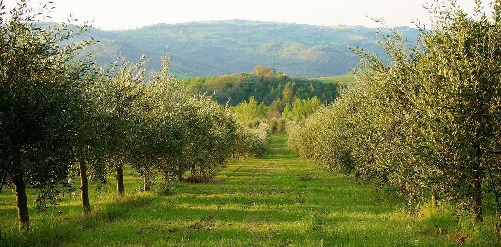 Willa Podere Le Corone Monte Castello di Vibio Zewnętrze zdjęcie